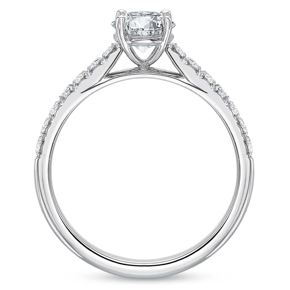Platinum Cathedral Diamond Engagement Ring