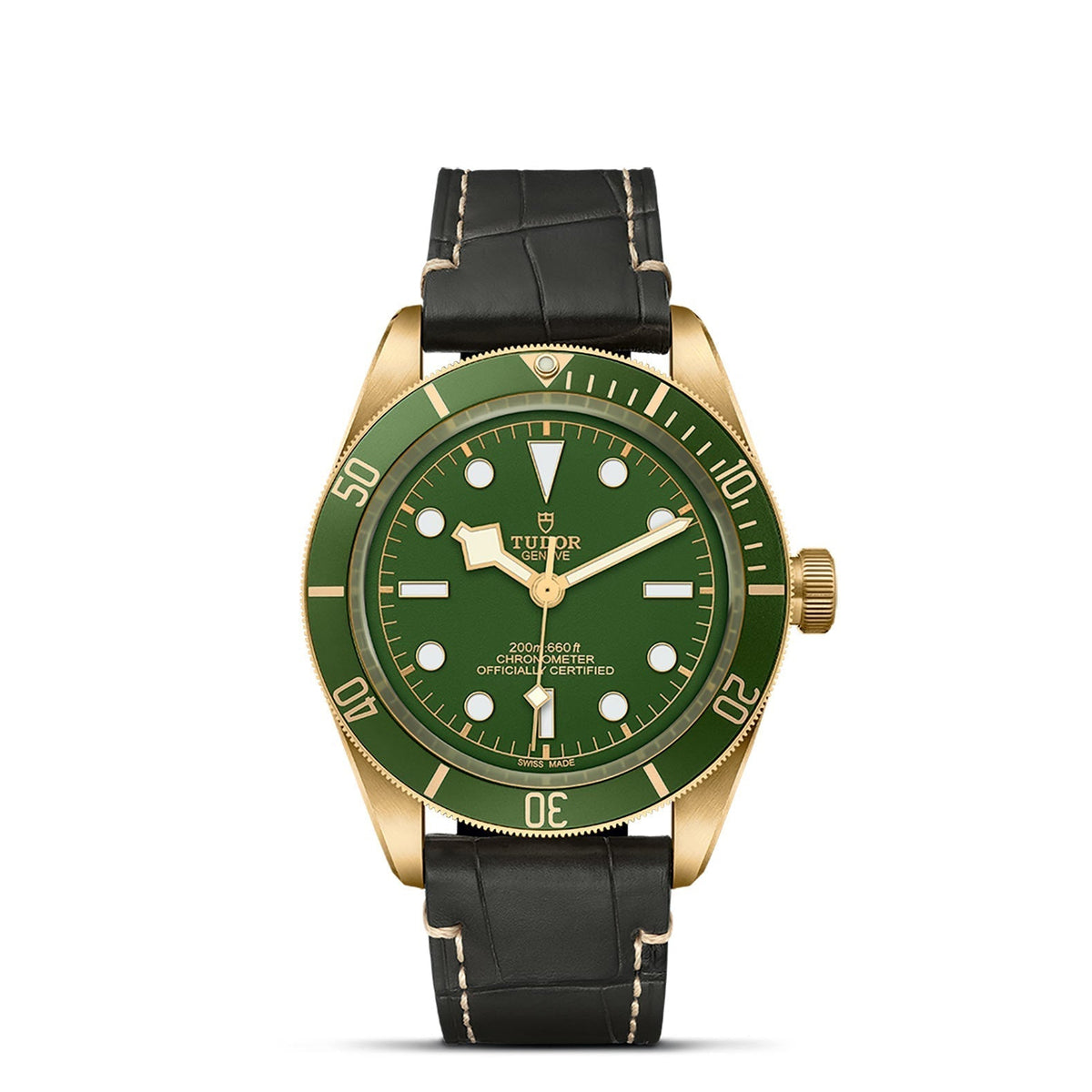 Tudor Black Bay 58 18K M79018V-0001