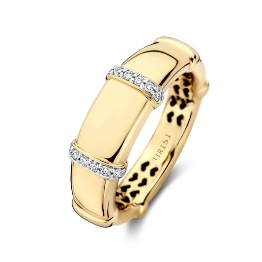 Monte Carlo Ring